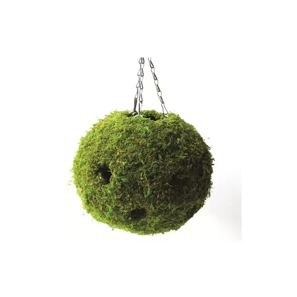 SuperMoss 12" Woven Moss Ball Planter