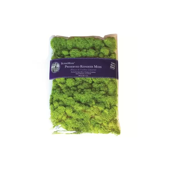 SuperMoss 8oz Reindeer Moss Chartreuse