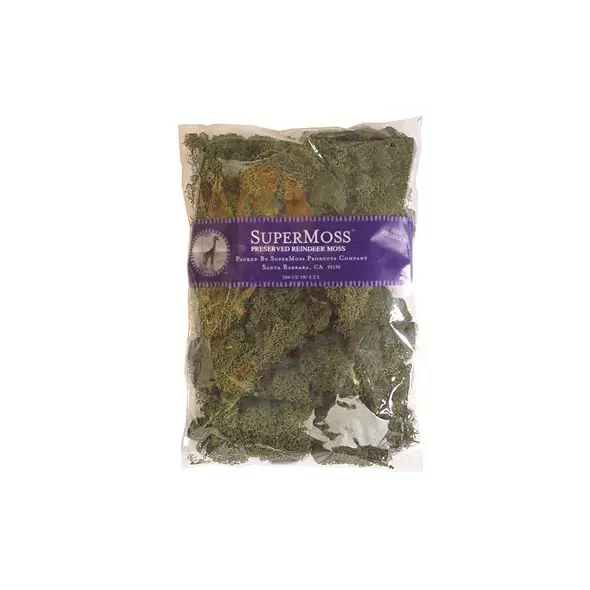SuperMoss 8oz Reindeer Moss Forest Green