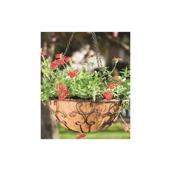 Panacea 14" Cameo Series Hanging Basket