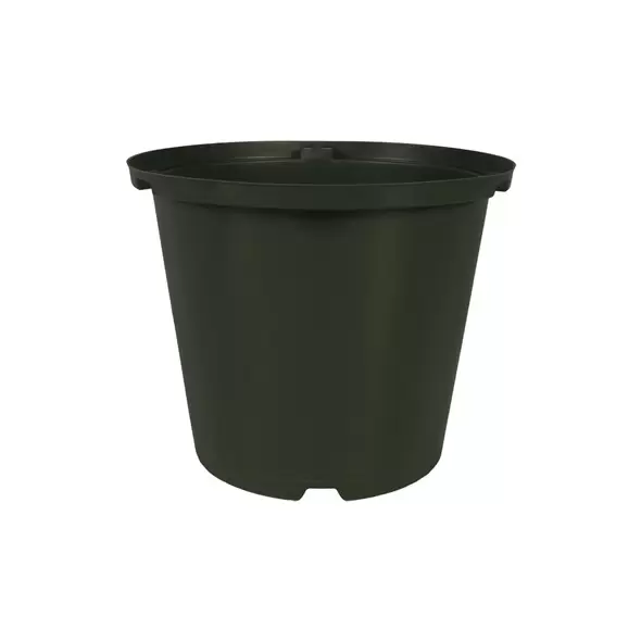 DLN 08.00 RND STD STOCK POT T/W 300GN 100/CS 30CS/PL