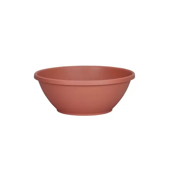 DLN 12.00 COLOR BOWL CL 42/CS 48CS/PL