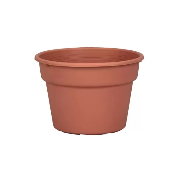 DLN 08.00 COLOR POT TL CL 58/CS 60CS/PL