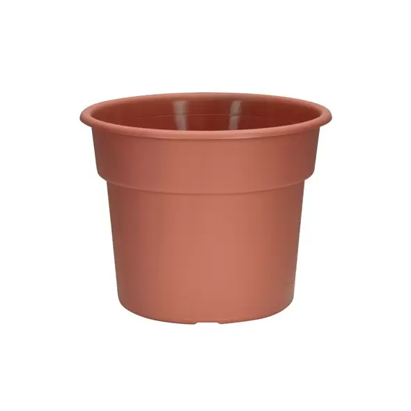 DLN 12.00 COLOR POT 2 TL CL 40/CS 32CS/PL