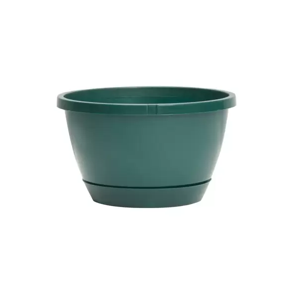 DLN 10.00 TRAD 2 WS HB NO HGR 300GN 50/CS 36CS/PL