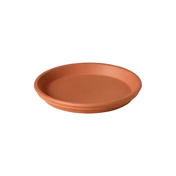 Deroma 9.8" Saucer Terra Cotta Clay Case Pack