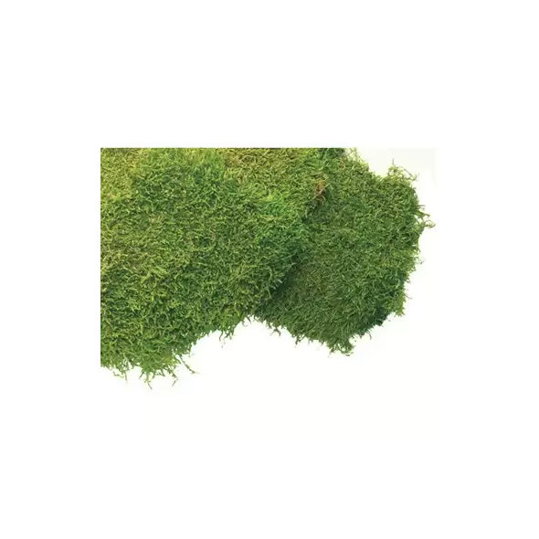 SuperMoss 1560cu in Bulk Sheet Moss Fresh Green (Covers 16-18sq ft)