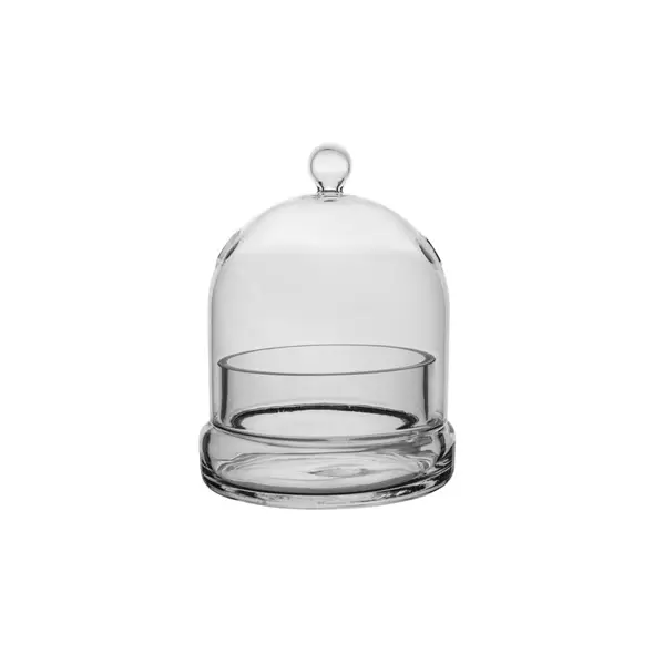 SSI 4 3/4" x 6" Terrarium Cloche