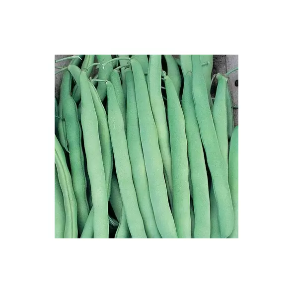 Beans, Mountaineer White Half Runner - 1lb