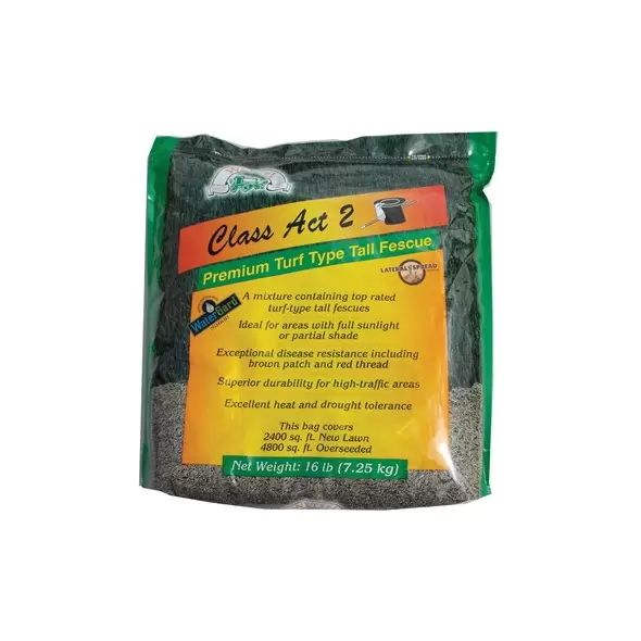 Class Act 2 Turf Fescue 16