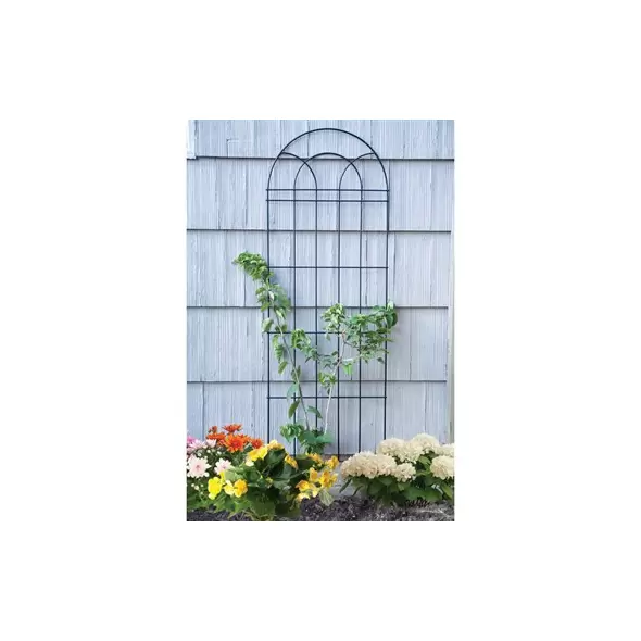 Panacea 72" Classic Trellis Black 4/CS