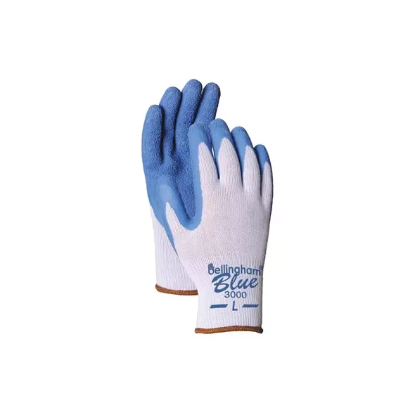 BGC Premium Latex Glove Large Blue