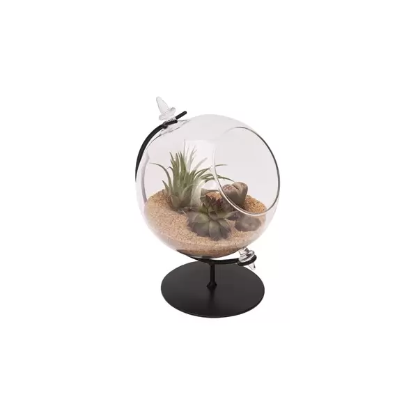 Panacea 4"D Desktop Glass Terrarium Planter With Metal Stand