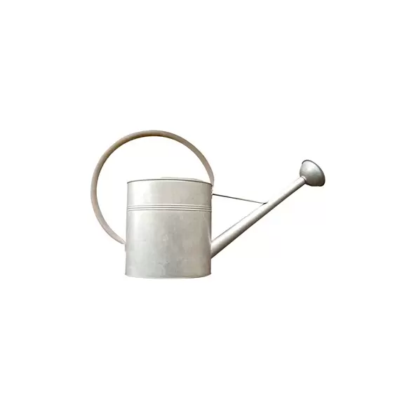 Panacea X Lg Vintage Galvanized Watering Can