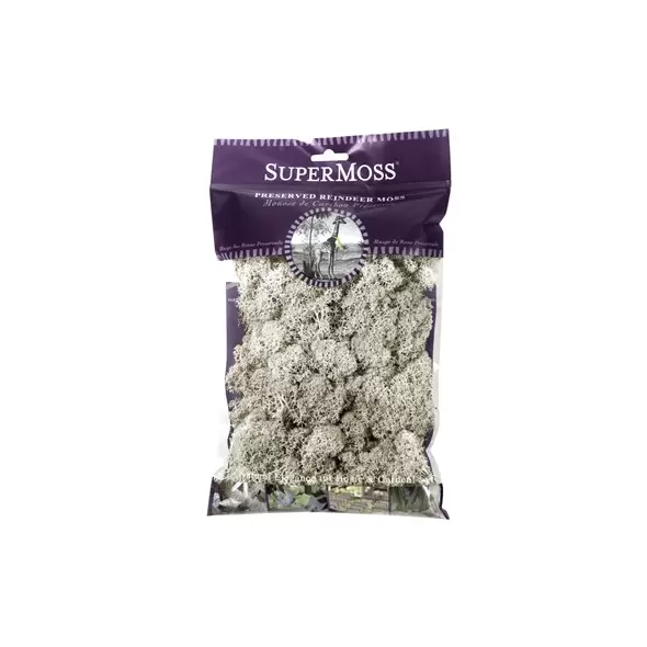 SuperMoss 2oz Reindeer Moss Natural