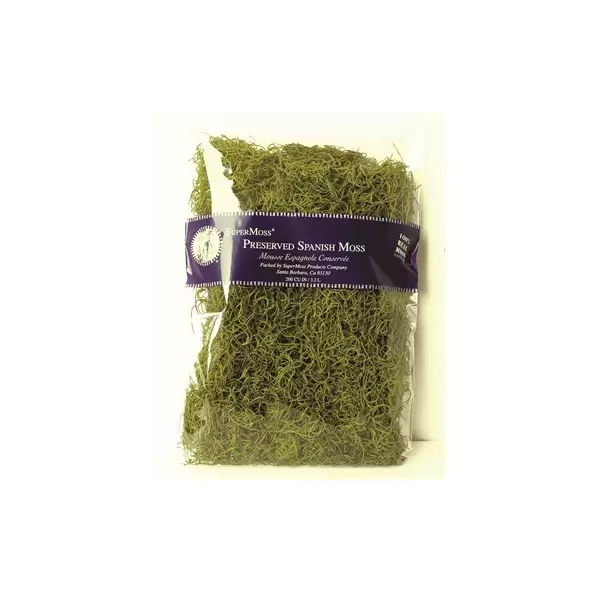SuperMoss 8oz Spanish Moss Preserved Basil