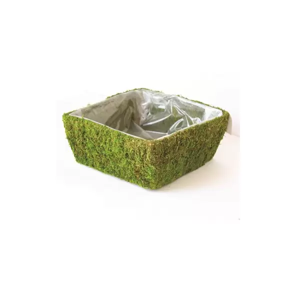 SuperMoss Santee Basket Deco Square