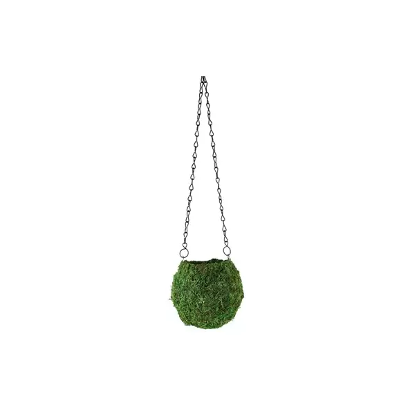 SSI 4" Kokedama Green Moss