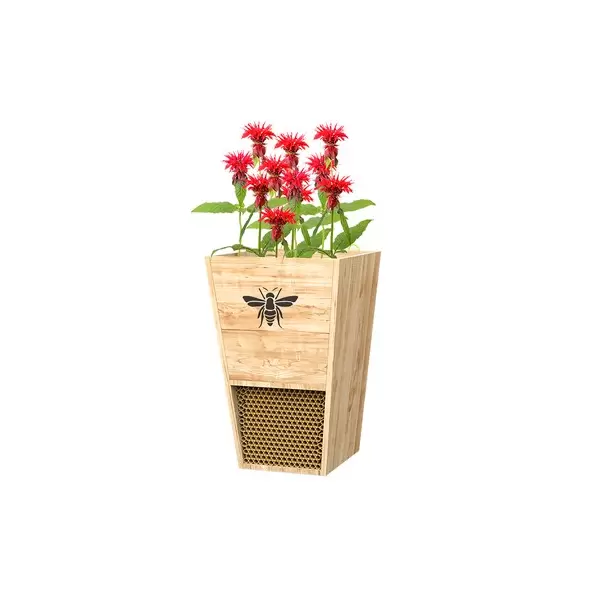 Woodlink Cedar Mason Bee House & Planter