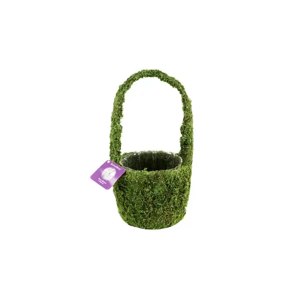 SuperMoss 4" Drop Deco Basket Vista Fresh Green