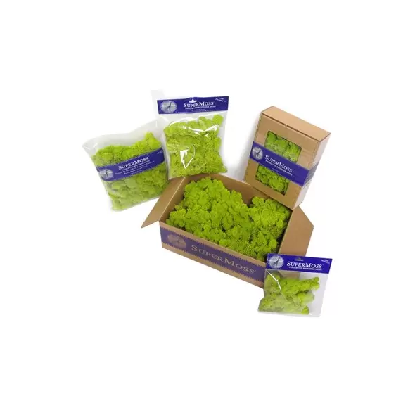 SuperMoss 8oz Reindeer Moss Moss Green