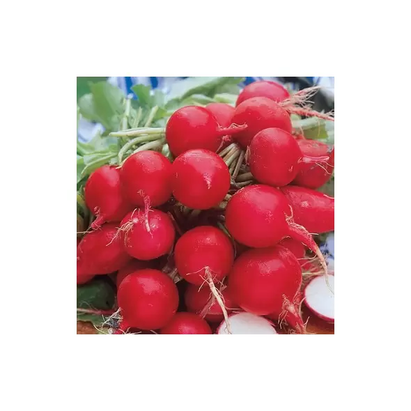 RADISH, CHERRY BELLE 1/2 OZ EACH