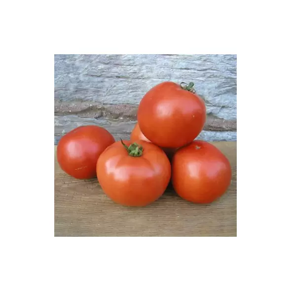Tomato, Early Girl - 1,000 Seed Count