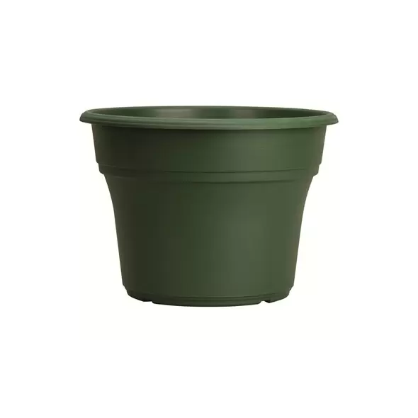 HC 6" Panterra Pot Green Akro Mils