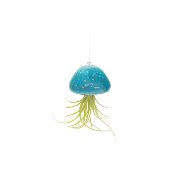 APM Air Plant Jellyfish Teal/Gold