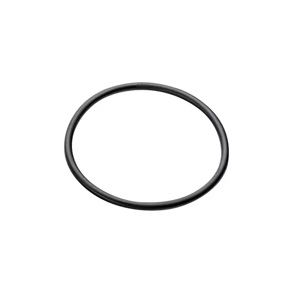 NET O-RING FOR 1" FILTER 25AP531140