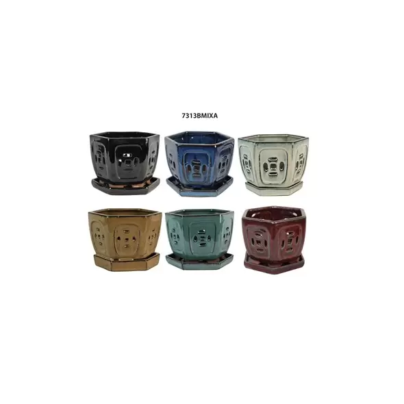 MCarr 12PC 5.3" Hexagon Orchid Pot Mixed Asst