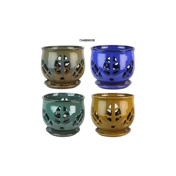 MCarr 8PC 6.5" Tulip Leaf Orchid Pot Mixed Asst