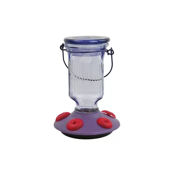 Perky Pet 16oz Glass Top Fill Hummingbird Feeder Lavender Field