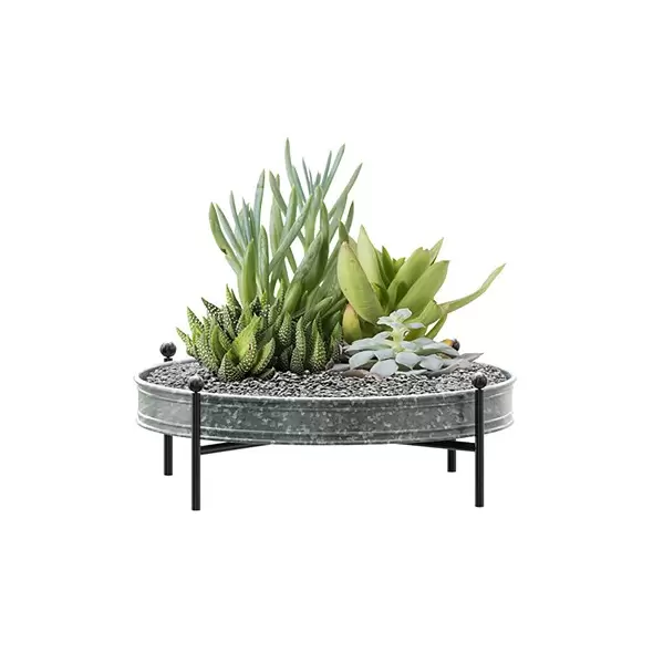 Panacea 16" Succulent Planter Tray Galvanized