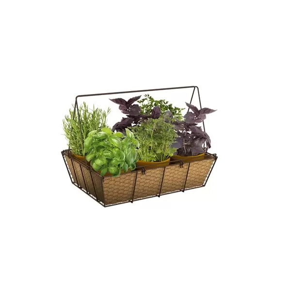 Panacea 14" Mason Jar Basket Planter Burlap