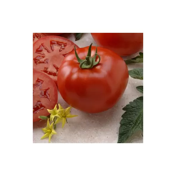 Tomato, Better Boy Treated - 1,000 Seed Count