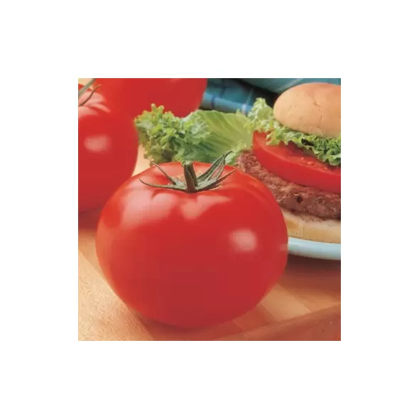 Tomato, Big Beef Treated - 10,000 Seed Count