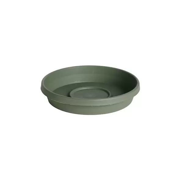 Bloem 12" Terra Saucer Living Green