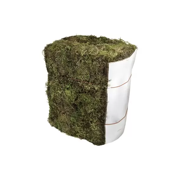 SuperMoss 25