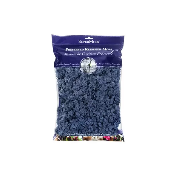 SuperMoss 4oz Reindeer Moss Blue