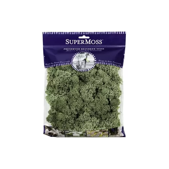 SuperMoss 4oz Reindeer Moss Green