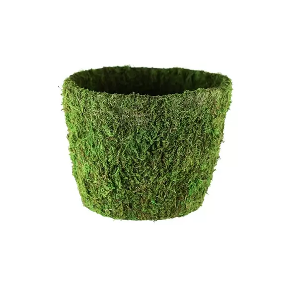 SSI 9" Agatha Planter Green Moss