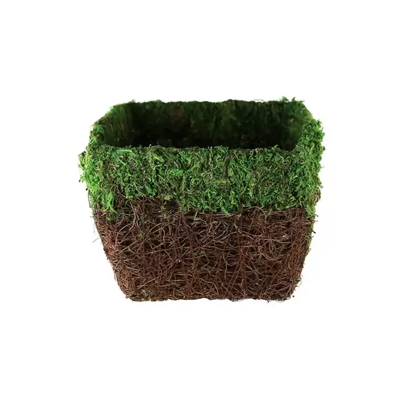 SSI 7-1/2"x7-1/2" Maya Planter Green Moss