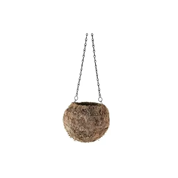 SSI 6" Sphagnum Kokedama Blonde Moss