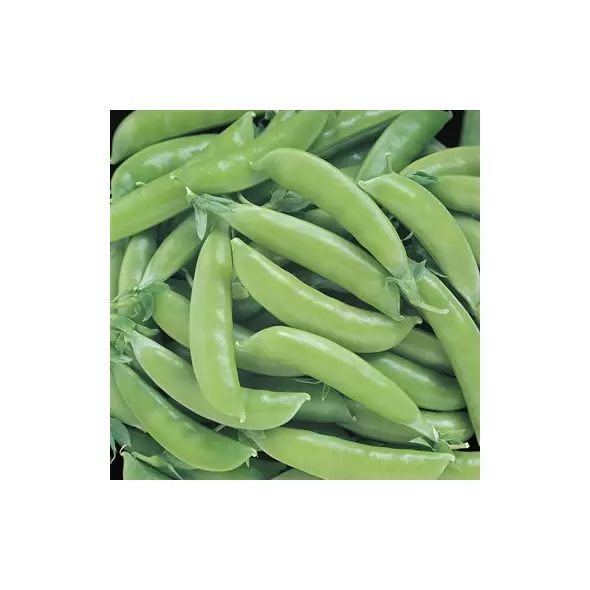 Peas, Super Sugar Snap - 1lb
