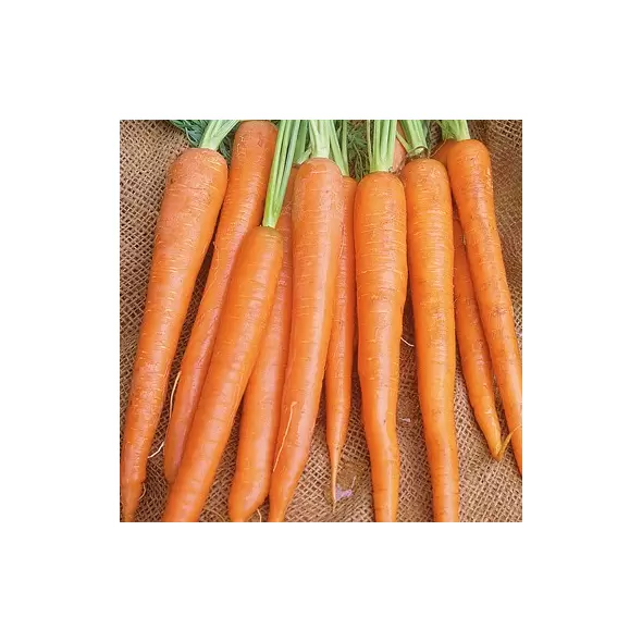 Carrot, Imperator - 1/2oz
