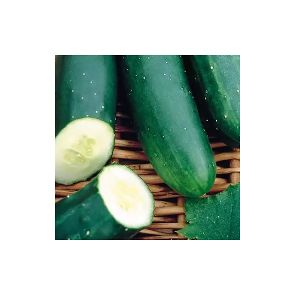 CUCUMBER, MARKETMORE 1/2 OZ. EACH