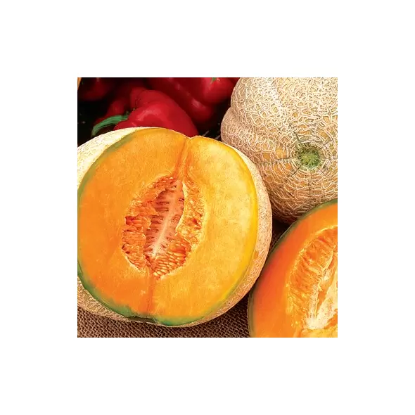 Cantaloupe , Honey Rock - 1/2lb