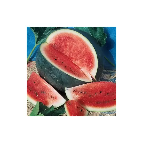 WATERMELON BLACK DIAMOND 1/2LB EACH