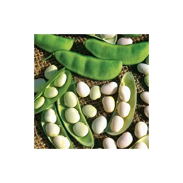 Limas, White Dixie Butterpea - 1lb